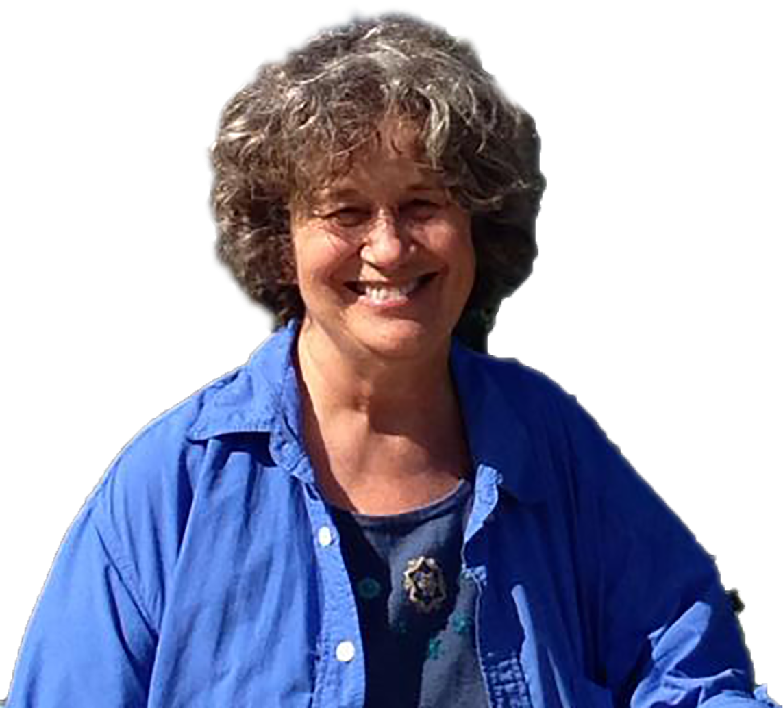 carol mcmillan